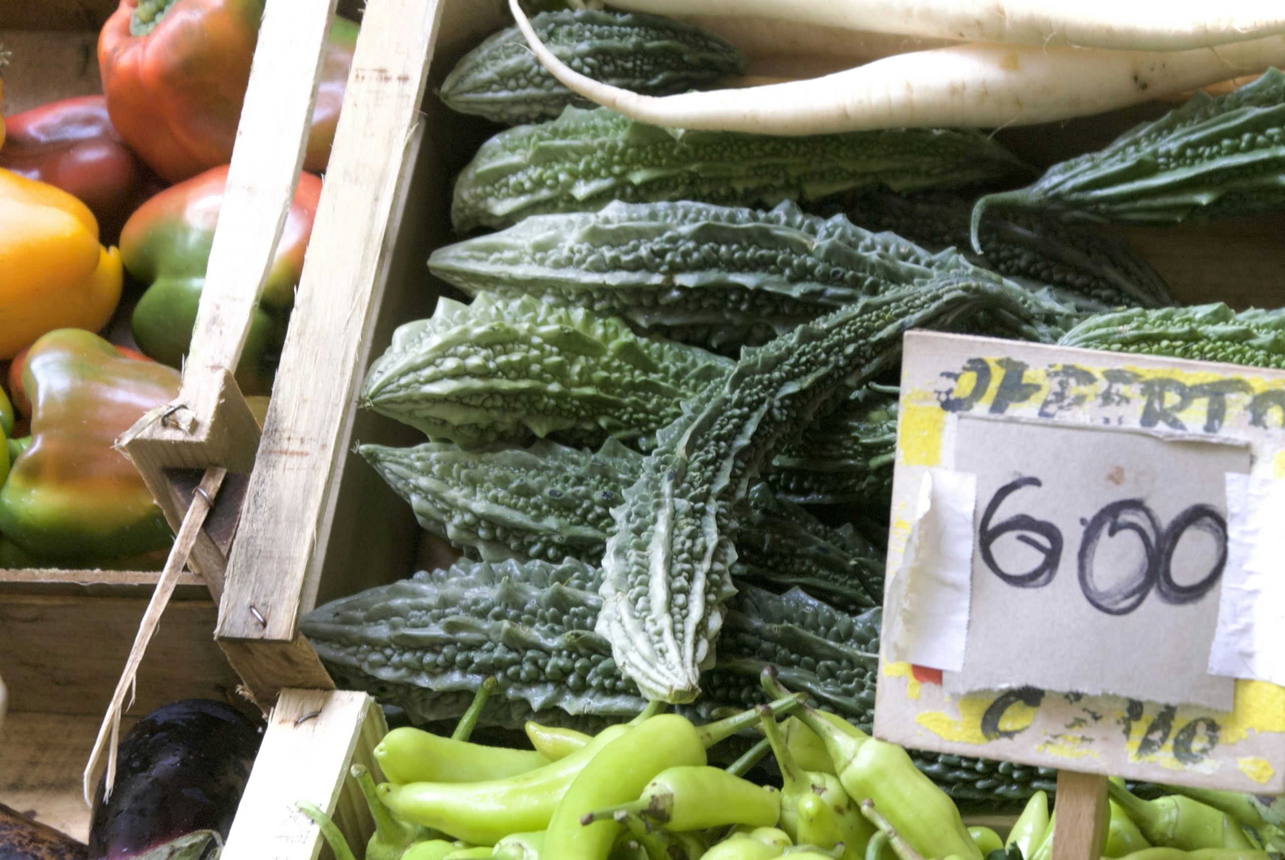 Nutrition for Hormone Balance: What the Science Actually Says