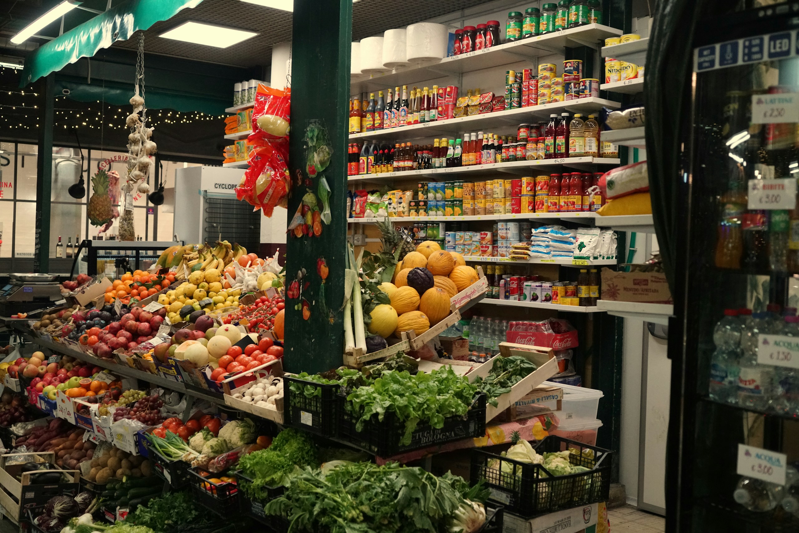 Gut Health Basics: Beyond the Probiotic Hype