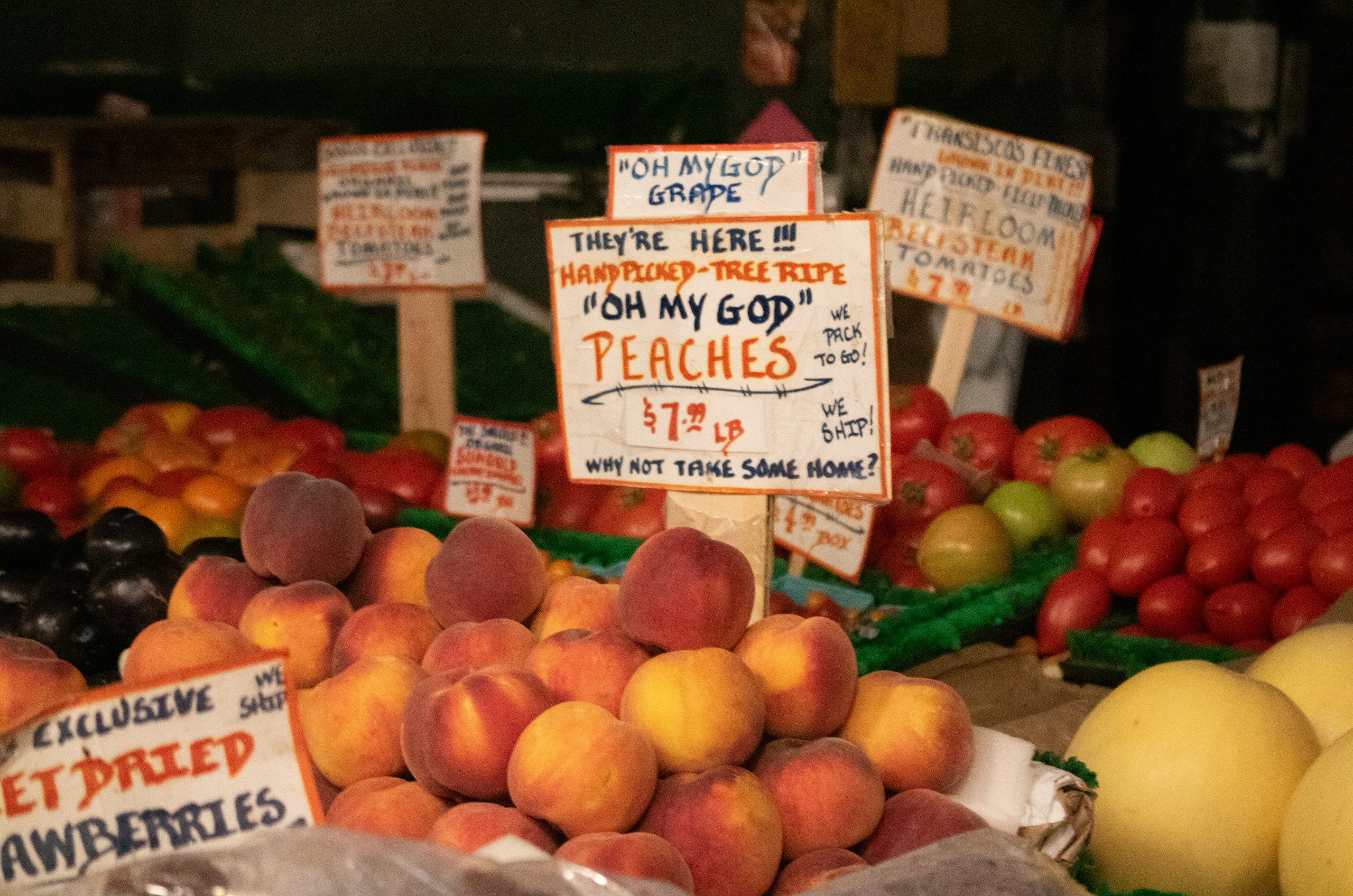 Fertility Nutrition: Foods That Support Conception